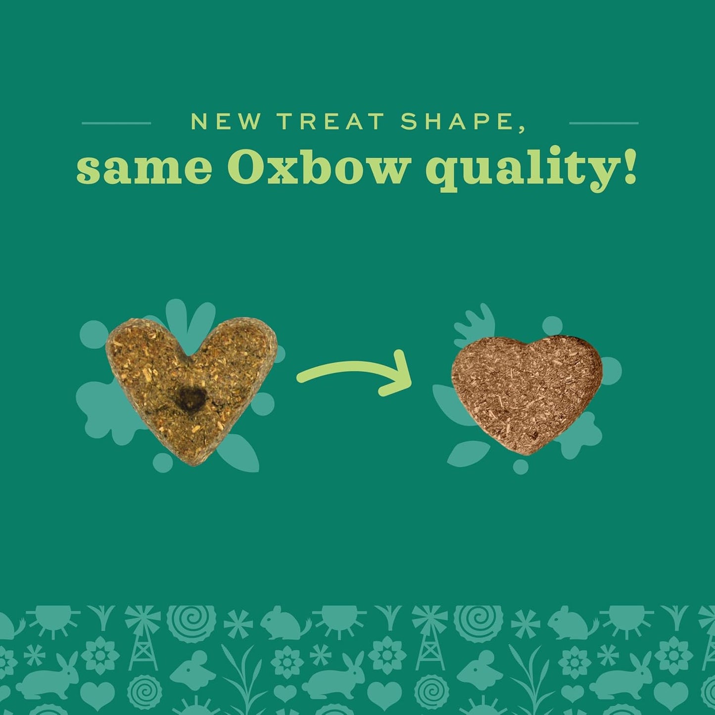 Organic Barley Biscuits 🌾🐹 Apple & Carrot Treats for Rabbits, Guinea Pigs & Hamsters