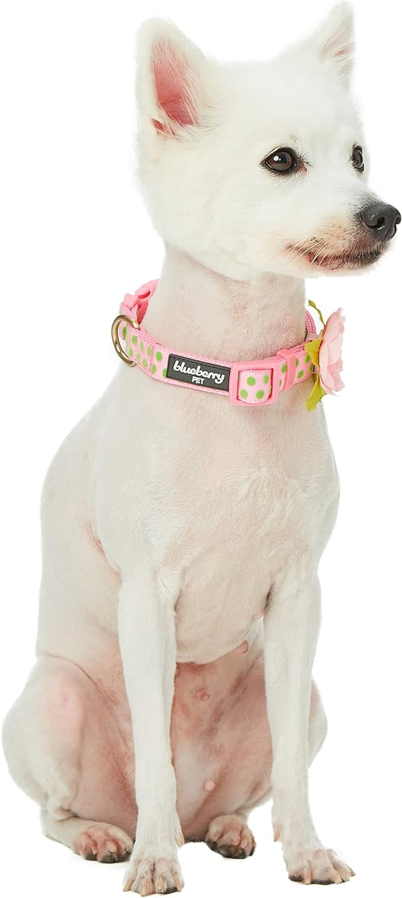 Blueberry Pet Pink Dog Collar ๐๐พ Adjustable Nameplate Collar w/ AirTag Holder & Flower