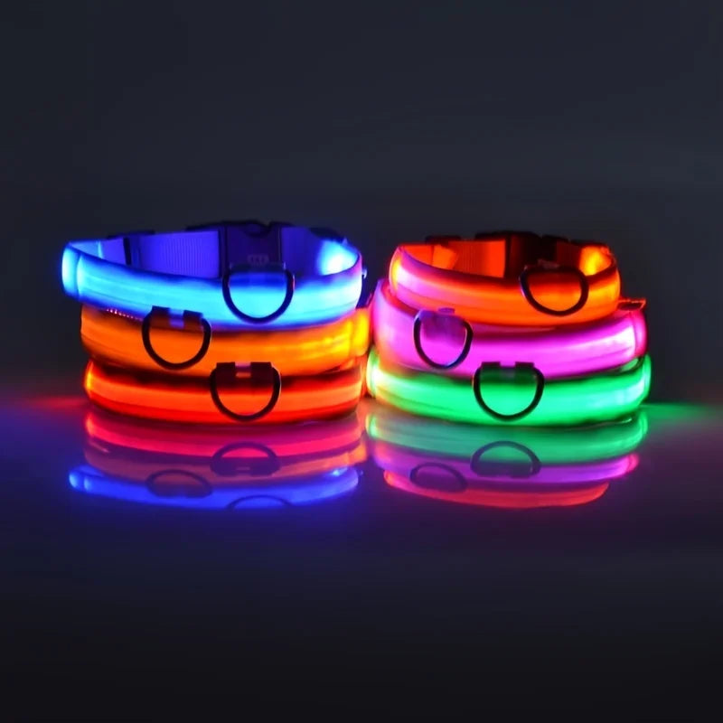 Illuminate Your Dog's Walks: Glow in the Dark Nylon LED Leash & Collar for Ultimate Night Safety