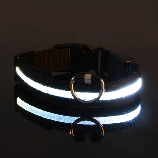 Illuminate Your Dog's Walks: Glow in the Dark Nylon LED Leash & Collar for Ultimate Night Safety