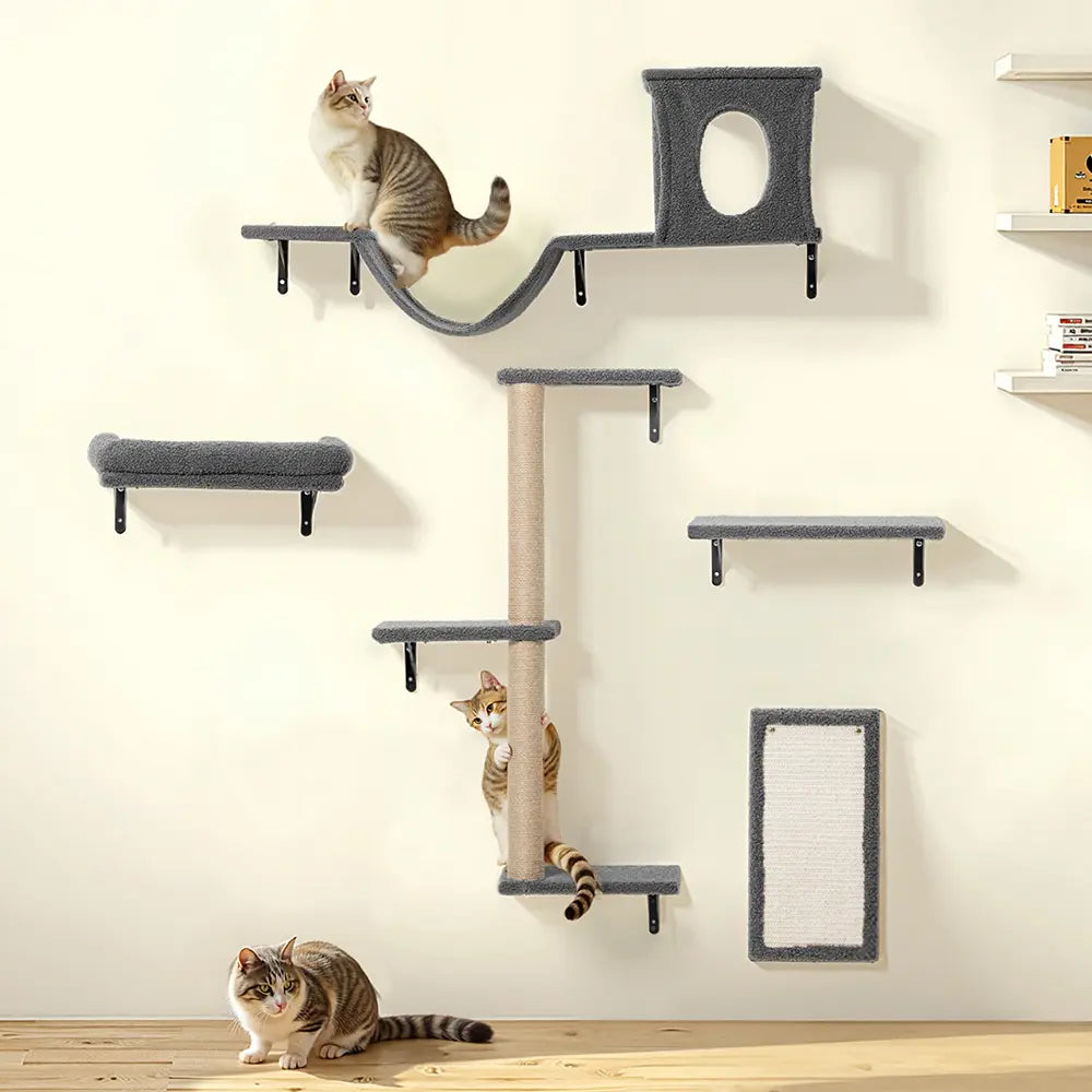 CAVEEN 5-in-1 Wall-Mounted Cat Climbing Set - Perfect Cat Wall Shelves and Perches for Multiple Cats to Play, Sleep, and Lounge