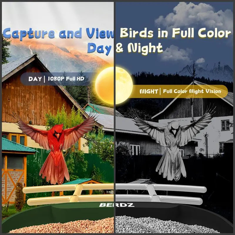 Wireless Outdoor Bird Feeder with Camera Auto Capture 1080P Real-Time Viewing AI Identify Wild Bird Motion Detection IP65 Waterproof 5000Mah Battery