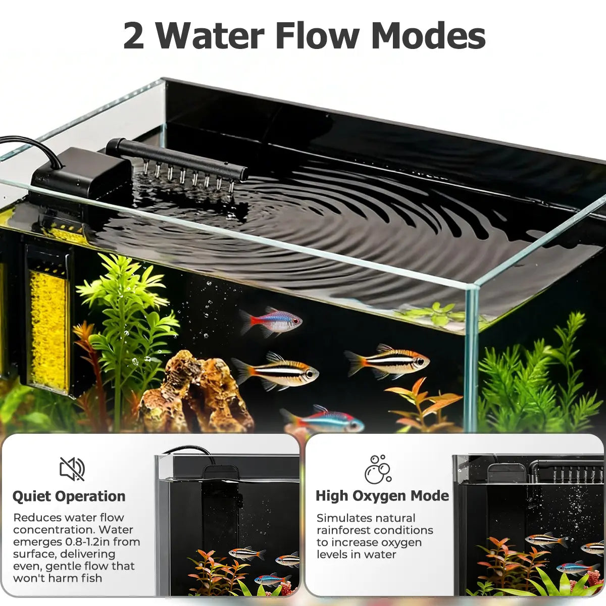 PAWGIANT 2.5 Gallon Nano Nature Aquarium Kit - Ultra-Clear Rimless Desktop Tank with Smart Temp Control, Light & Silent Multi-Layer Filter for Betta Fish