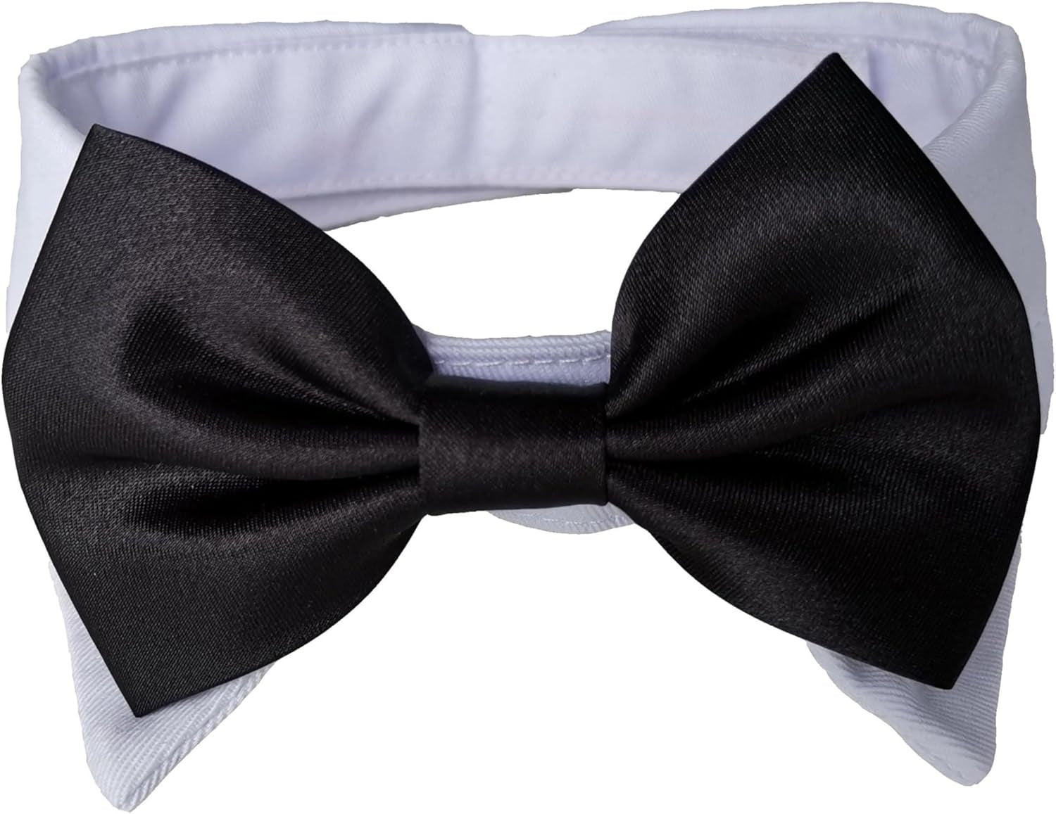 Dapper Dog Tuxedo Collar with Black Tie - Ideal for All Breeds!