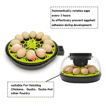 Automatic Egg Incubator with Humidity Display, Built-In Egg Candler, and 360° Transparent View for Home Chicken Hatching and Poultry Farming