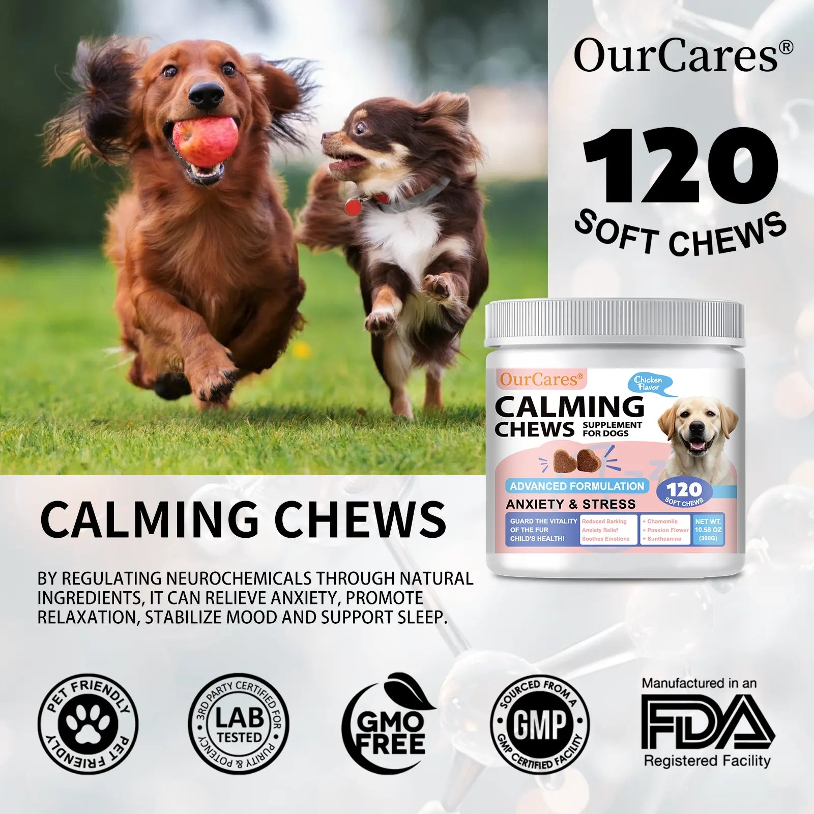 Calm Your Dog Naturally with OURCARES Calming Bites – Soft Chews for Stress Relief and Composure Support
