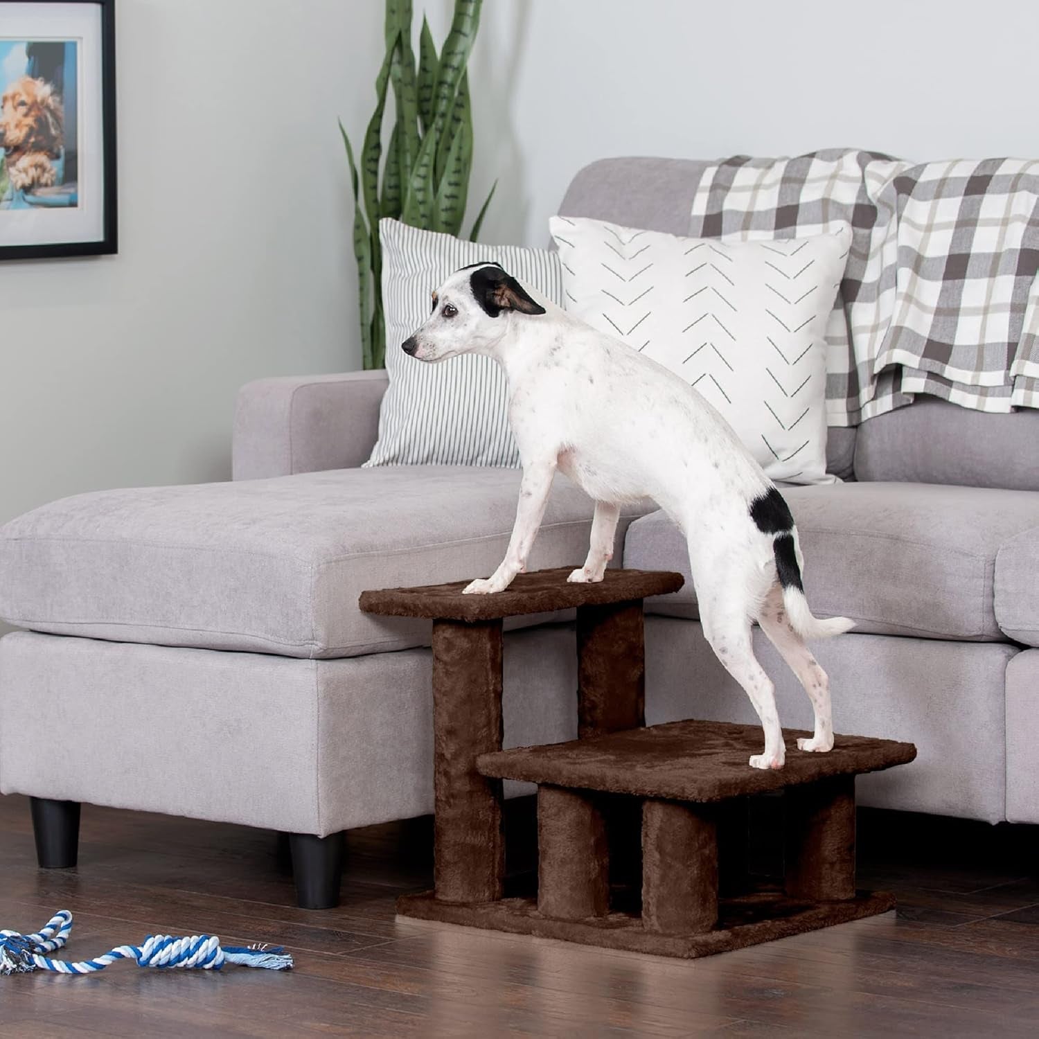  Steady Paws Multi‑Step Pet Stairs 🐾✨ Soft, Stable, Convertible Steps for Small & Senior Pets
