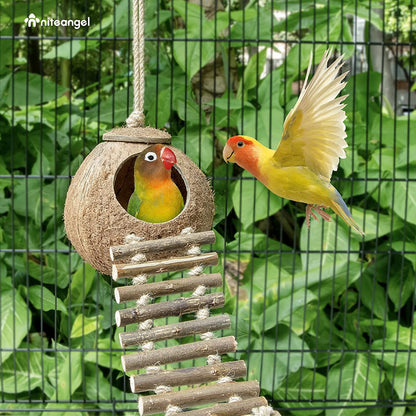Natural Coconut Hideaway with Ladder - Perfect Toy for Birds and Small Animals!