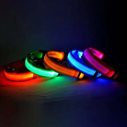 Illuminate Your Dog's Walks: Glow in the Dark Nylon LED Leash & Collar for Ultimate Night Safety