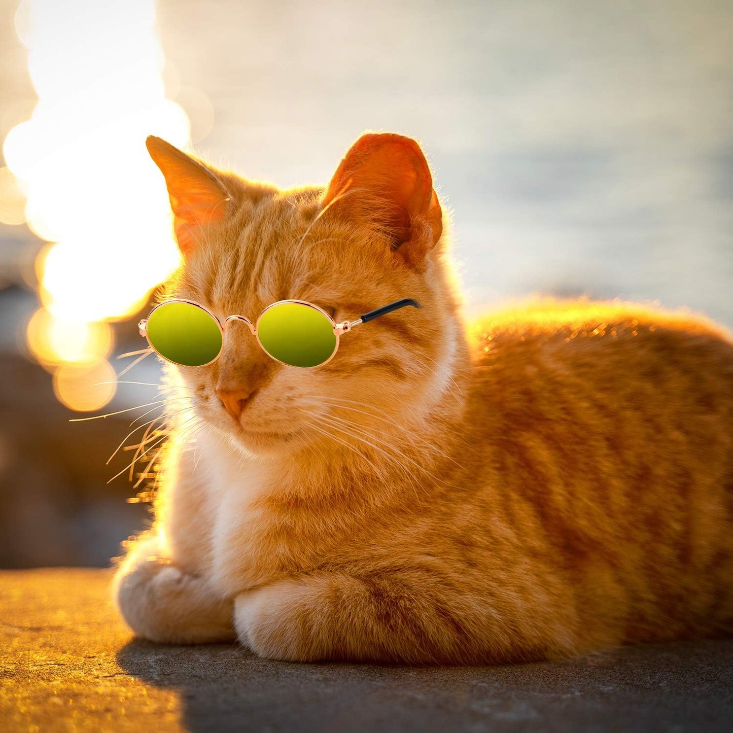 10 Pieces Cute Retro Round Sunglasses for Cats and Dogs – Fun Pet Glasses for Cosplay, Parties, and Photos (Mixed Colors)