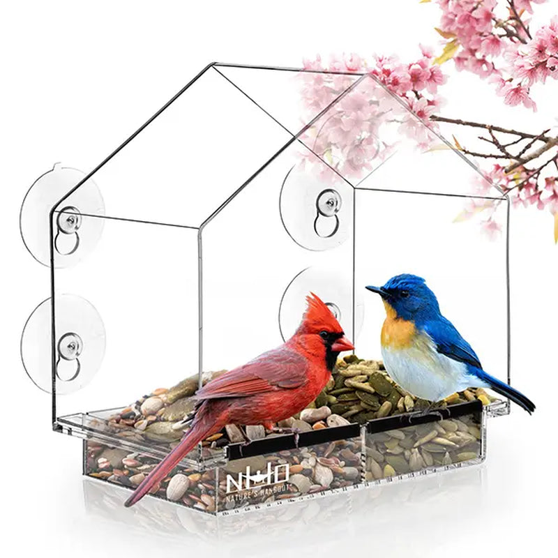 Nature's Hangout Acrylic Window Bird Feeder - Ultimate Bird Watching Experience with Suction Cups & Removable Tray