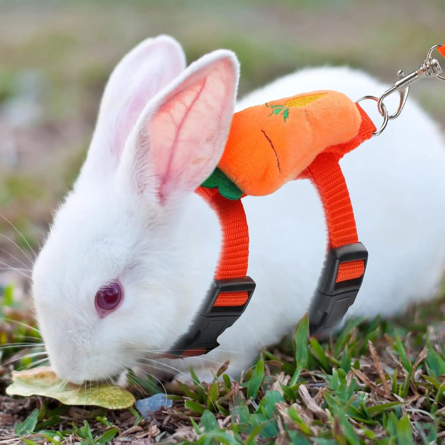 Adjustable 4-Pack Rabbit Harness and Traction Rope Set - Perfect for Walking Small Pets!