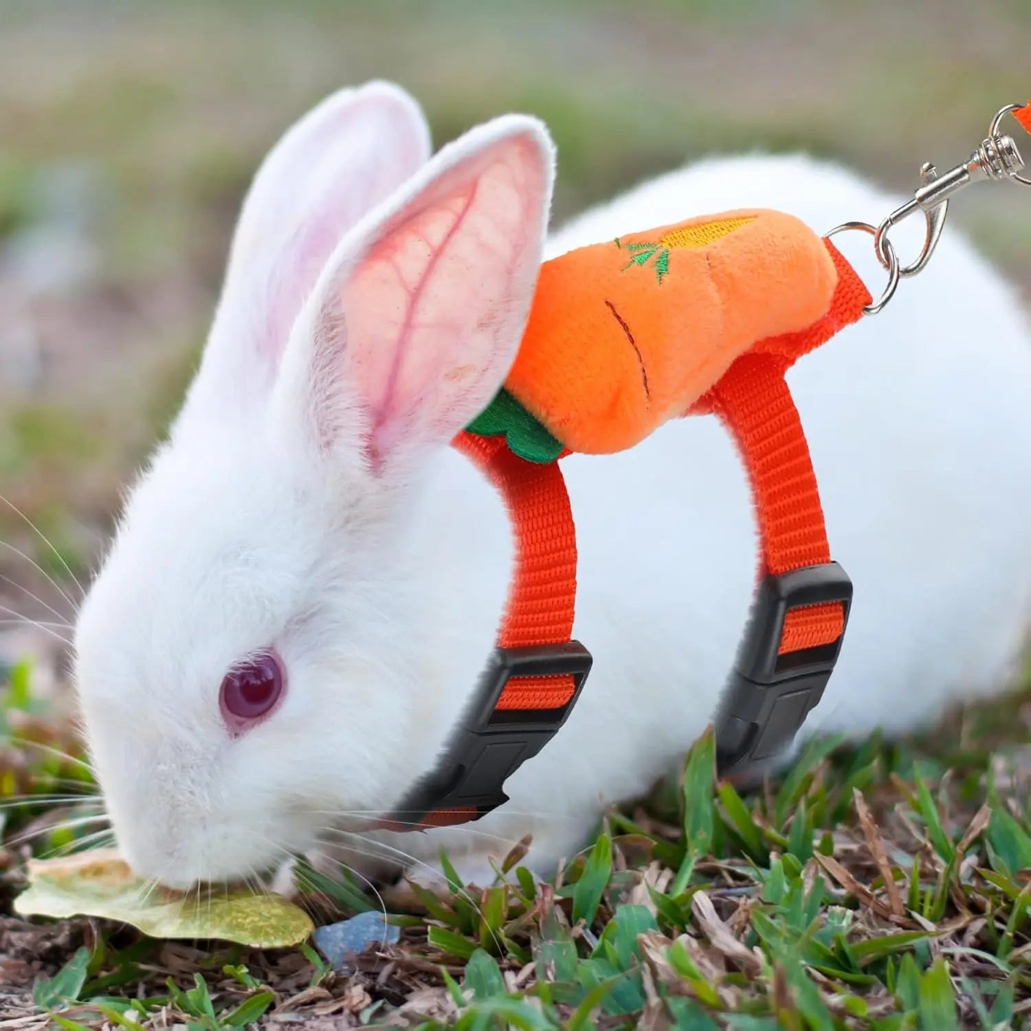 Adjustable 4-Pack Rabbit Harness and Traction Rope Set - Perfect for Walking Small Pets!