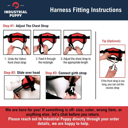 ❤️🐾 Service Dog in Training Vest Harness — Durable, Adjustable, Reflective (Small 19.5"–25")