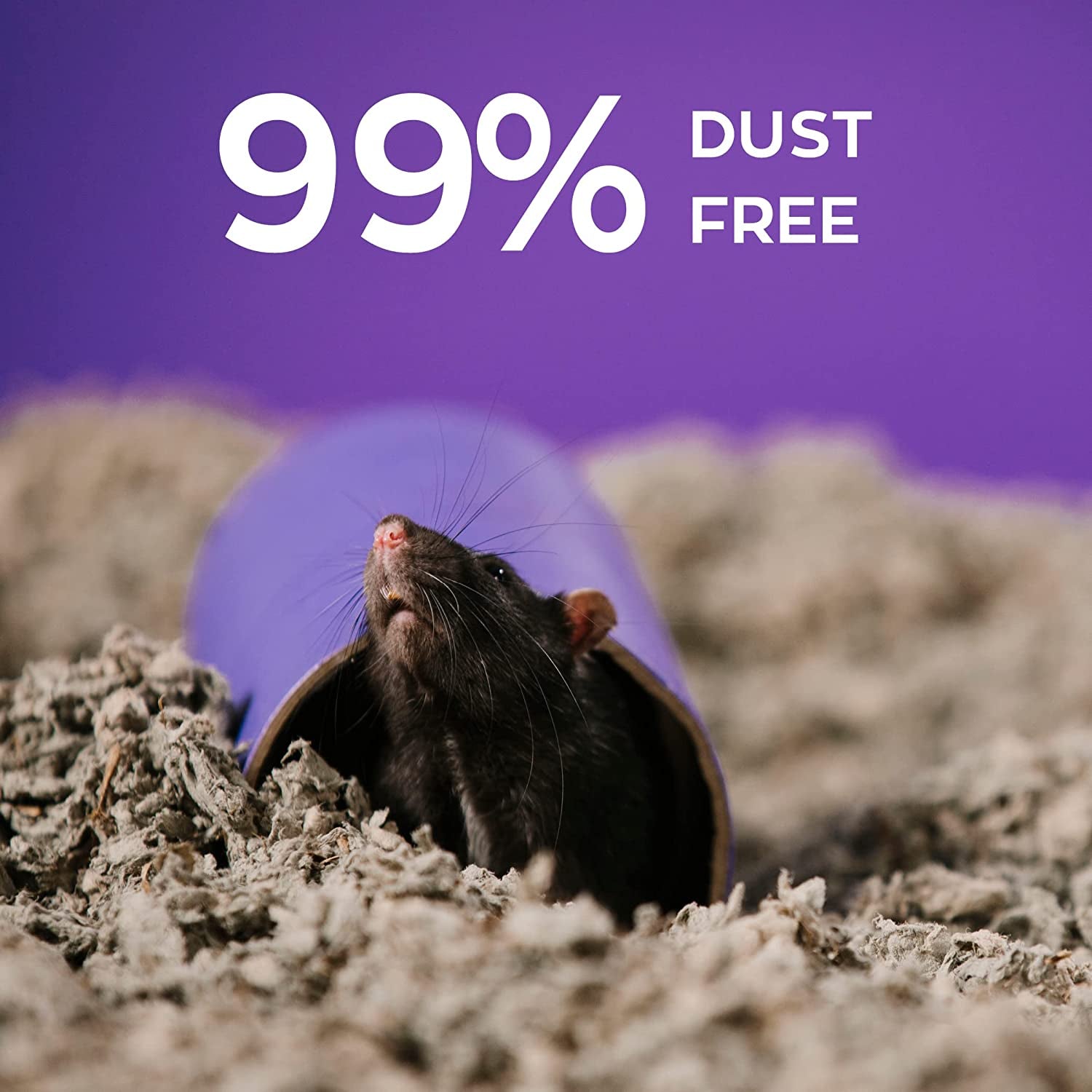 Natural Paper Small Pet Bedding 🌿🐹 Ultra‑Soft, 99% Dust‑Free, 10‑Day Odor Control