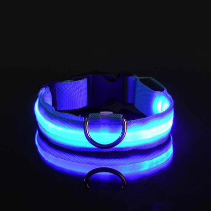 Illuminate Your Dog's Walks: Glow in the Dark Nylon LED Leash & Collar for Ultimate Night Safety