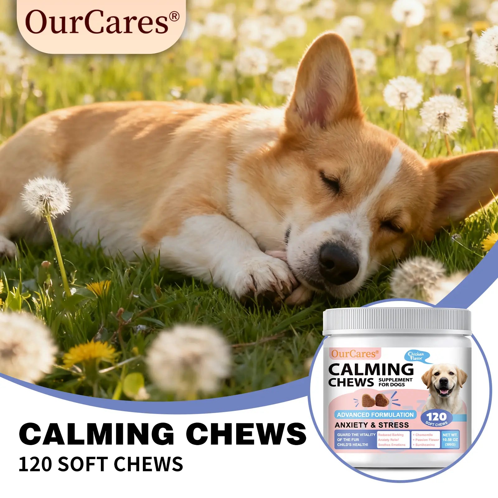 Calm Your Dog Naturally with OURCARES Calming Bites – Soft Chews for Stress Relief and Composure Support