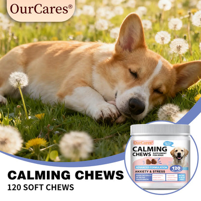 Calm Your Dog Naturally with OURCARES Calming Bites – Soft Chews for Stress Relief and Composure Support