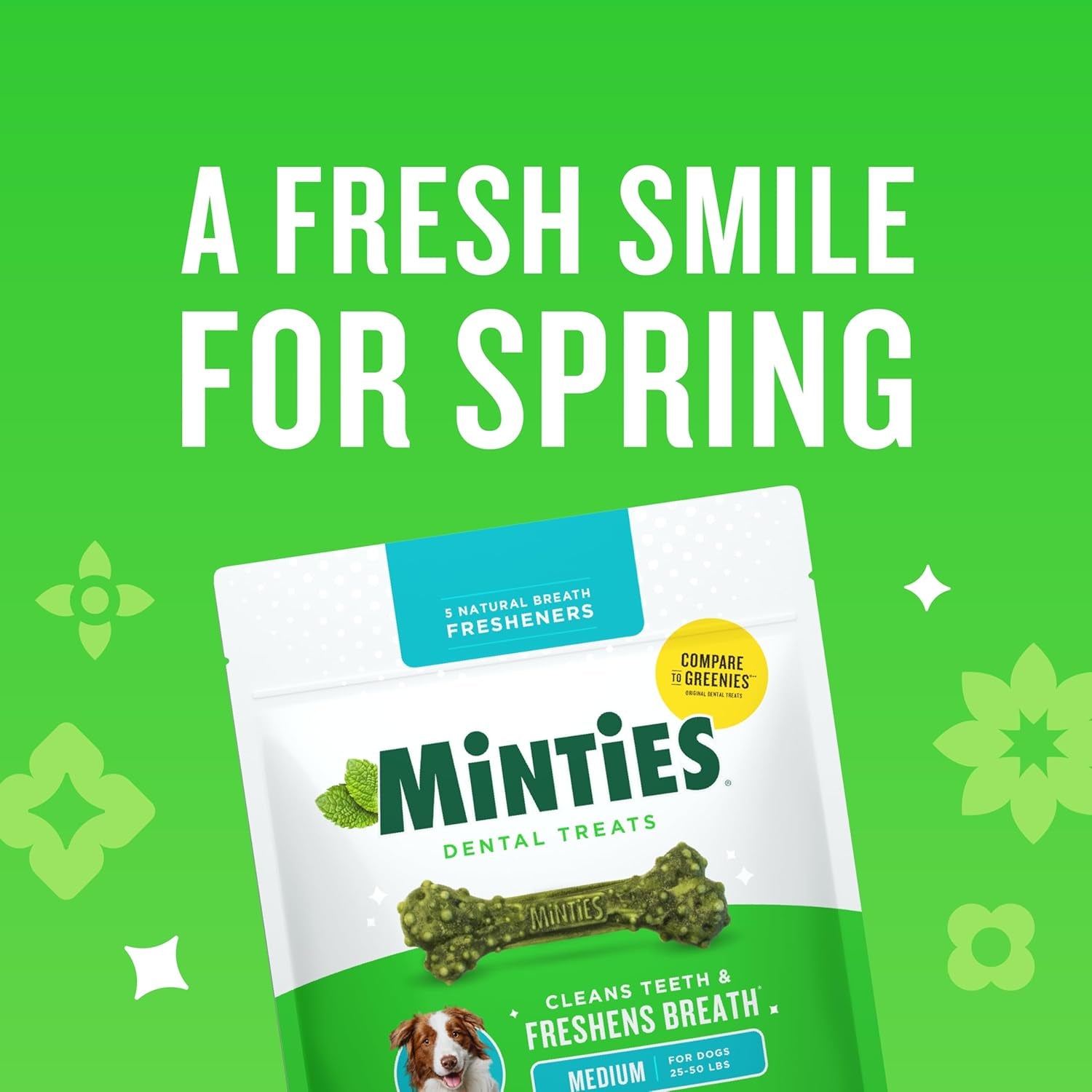 Minty Dental Chews for Dogs 🐶🌿 20ct Vet‑Recommended Treats Clean Teeth & Freshen Breath