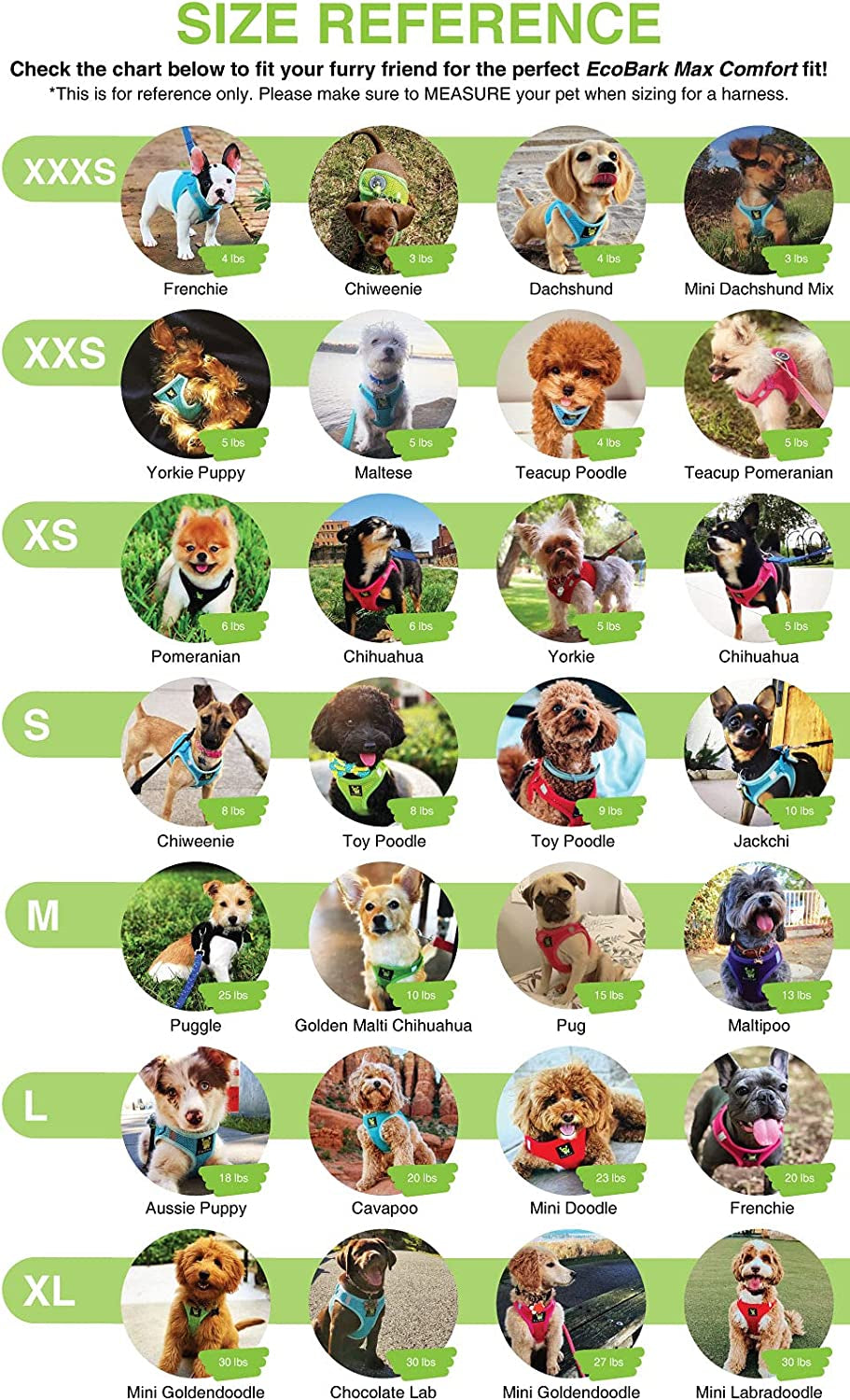 Teacup Dog Harness 💗 XXS Soft Mesh Step‑In Vest – No‑Pull Halter for Toy Breeds