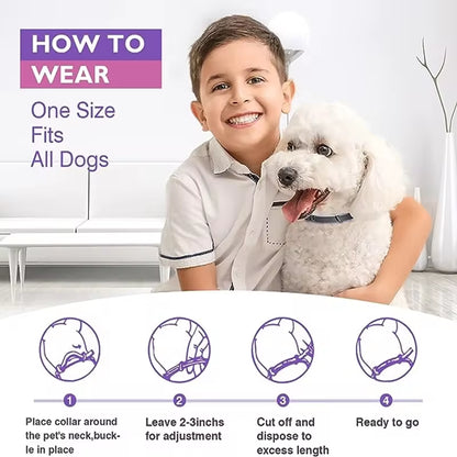 Adjustable Calming Collars – Pheromone Anxiety Relief for Dogs & Cats, 3/4 Pack  
