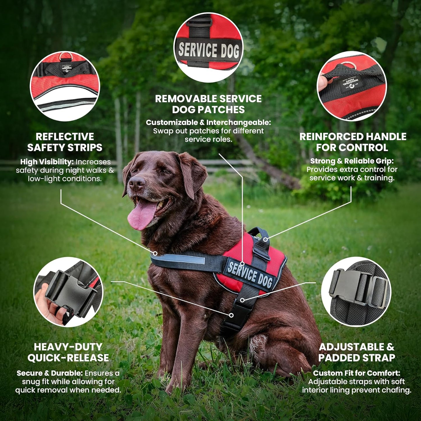 ❤️🐾 Service Dog in Training Vest Harness — Durable, Adjustable, Reflective (Small 19.5"–25")
