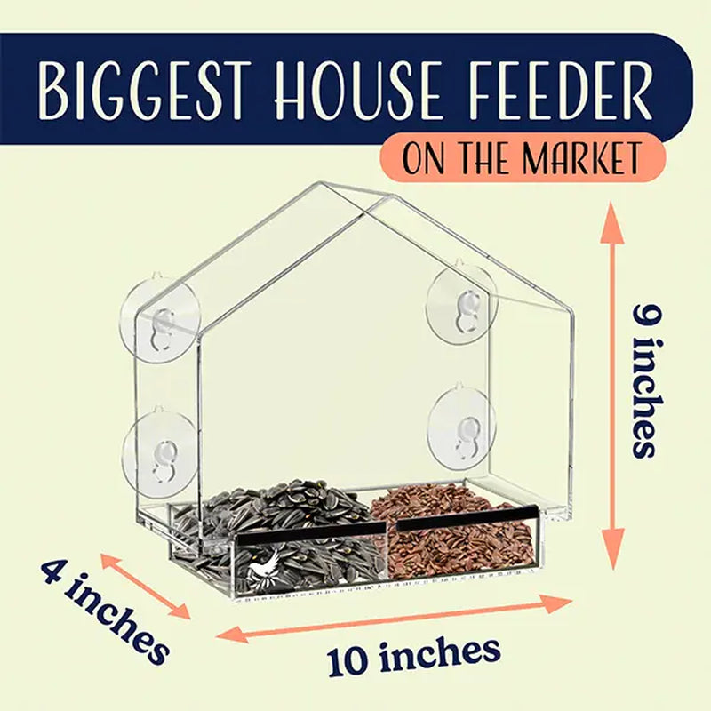 Nature's Hangout Acrylic Window Bird Feeder - Ultimate Bird Watching Experience with Suction Cups & Removable Tray