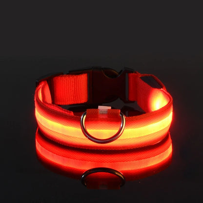 Illuminate Your Dog's Walks: Glow in the Dark Nylon LED Leash & Collar for Ultimate Night Safety