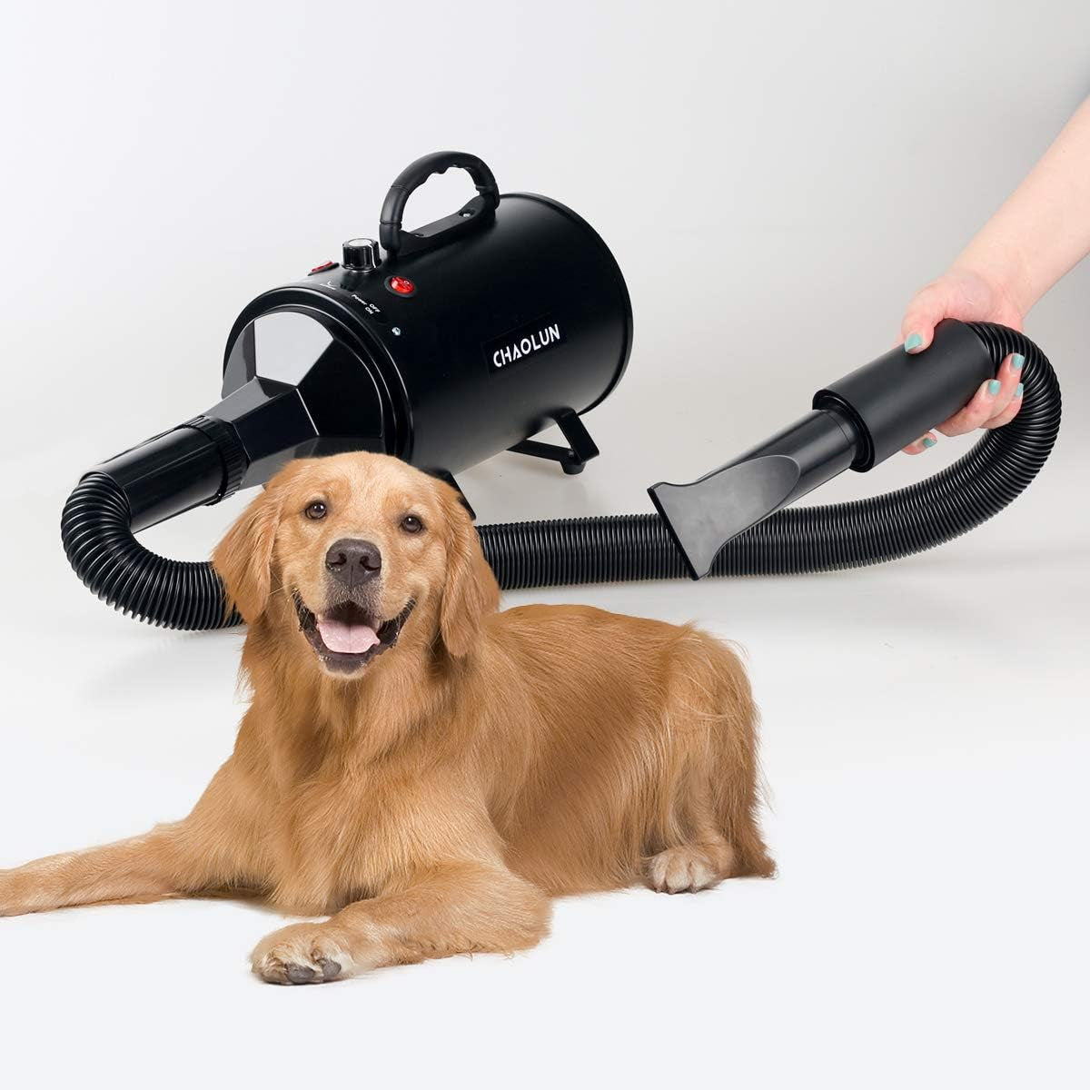 High Velocity Dog Grooming Dryer – Adjustable Speed Pet Hair Dryer with Heater 