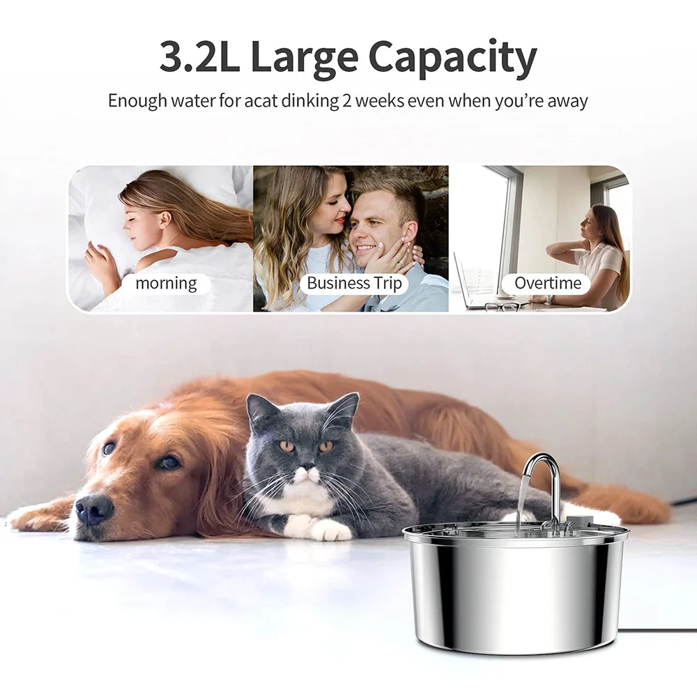 Automatic Stainless Steel Pet Water Fountain – USB Quiet Filtered Drinking Bowl
