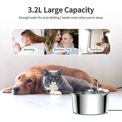 Automatic Stainless Steel Pet Water Fountain – USB Quiet Filtered Drinking Bowl