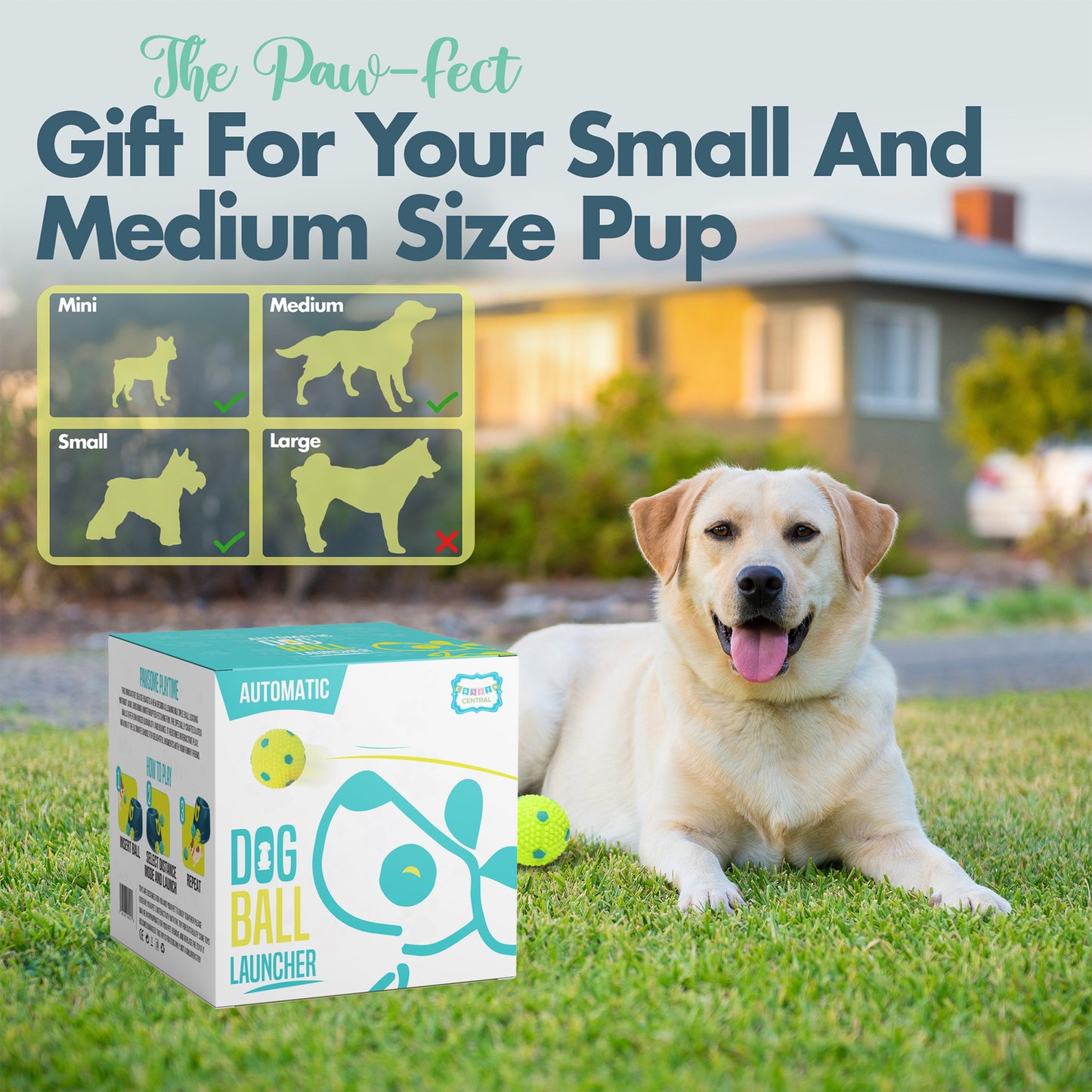 🎾 Automatic Dog Ball Launcher for Small Dogs | 4‑Distance Fetch Machine + 6 Latex Balls