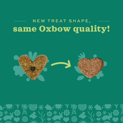 Organic Barley Biscuits 🌾🐹 Apple & Carrot Treats for Rabbits, Guinea Pigs & Hamsters