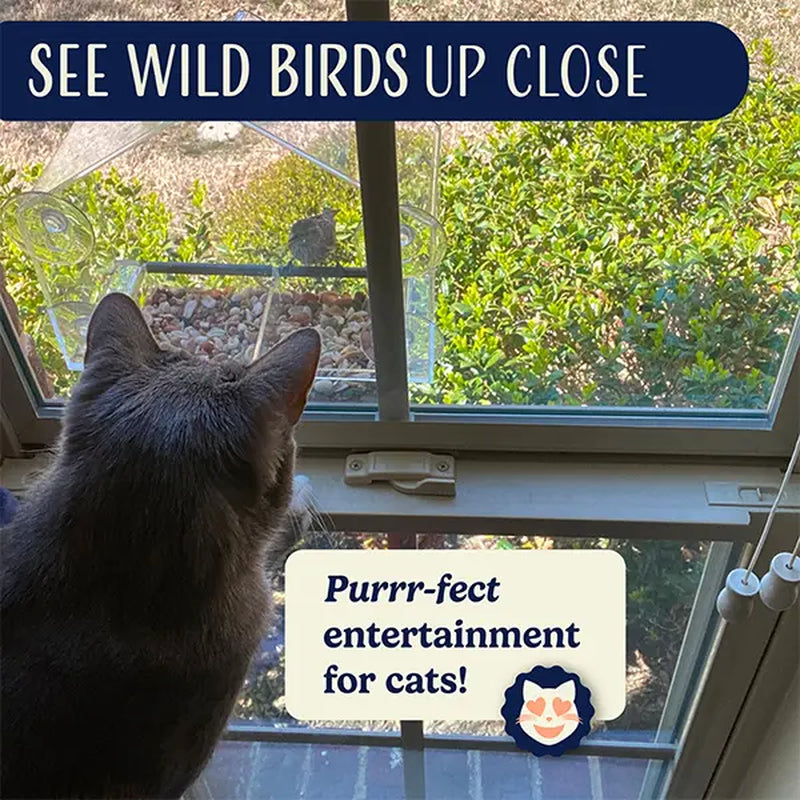 Nature's Hangout Acrylic Window Bird Feeder - Ultimate Bird Watching Experience with Suction Cups & Removable Tray