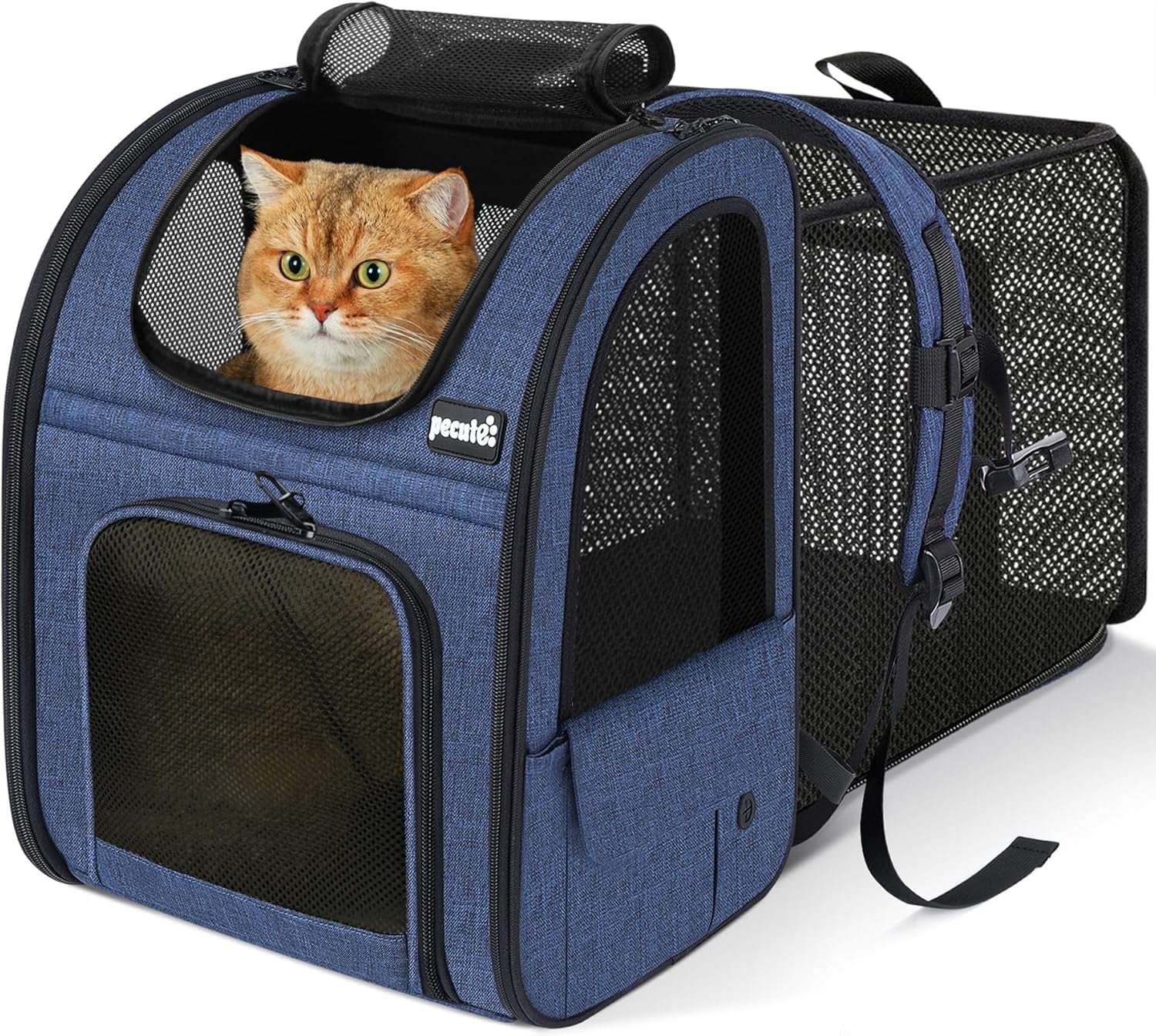Expandable Pet Carrier Backpack 🐾✨ Ventilated, Comfy, Airline‑Friendly Travel Pack
