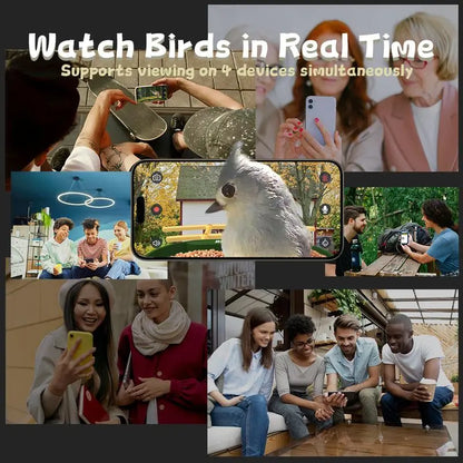 Wireless Outdoor Bird Feeder with Camera Auto Capture 1080P Real-Time Viewing AI Identify Wild Bird Motion Detection IP65 Waterproof 5000Mah Battery