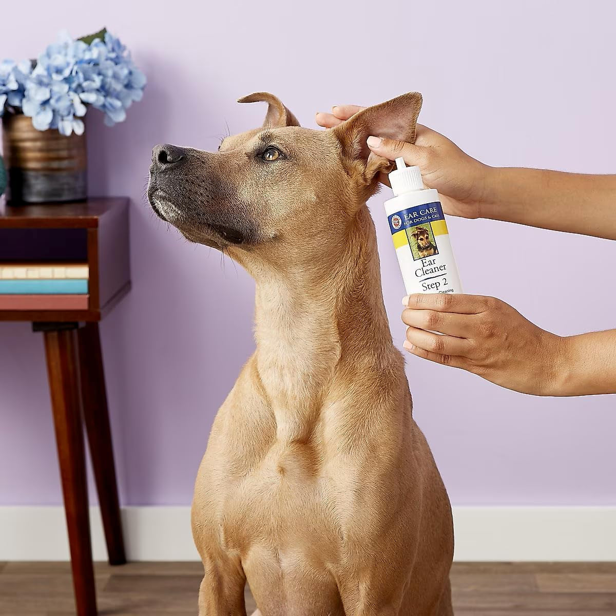 Miracle Care Ear Cleanser 🧼🐾 16oz Gentle Odor‑Reducing Ear Wash for Dogs & Cats