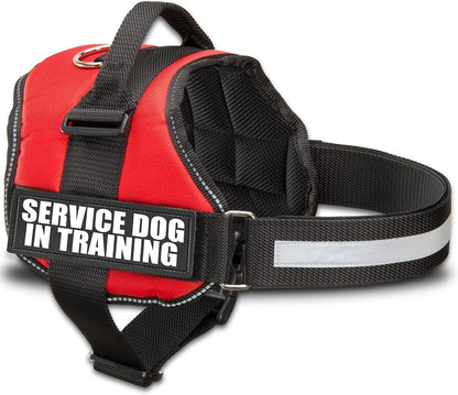 ❤️🐾 Service Dog in Training Vest Harness — Durable, Adjustable, Reflective (Small 19.5"–25")