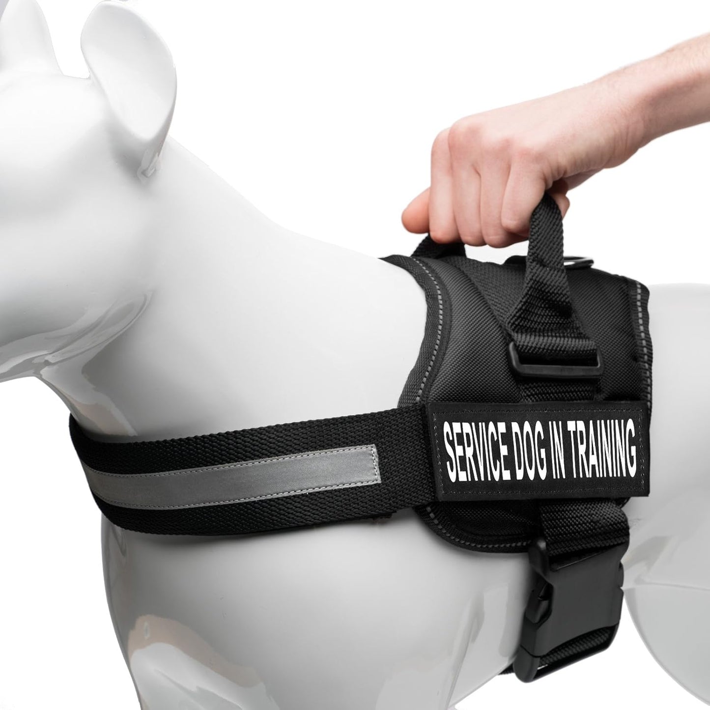 ❤️🐾 Service Dog in Training Vest Harness — Durable, Adjustable, Reflective (Small 19.5"–25")