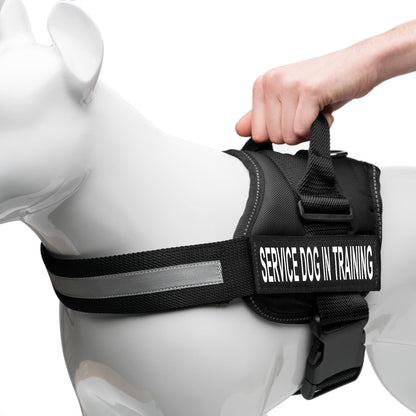 ❤️🐾 Service Dog in Training Vest Harness — Durable, Adjustable, Reflective (Small 19.5"–25")