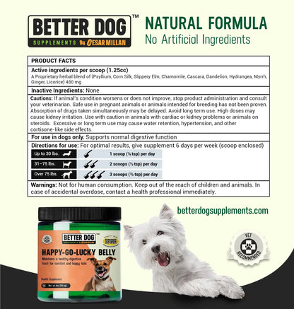 Happy-Go-Lucky Belly: Complete Digestive & Gut Wellness for Your Dog by Cesar Millan