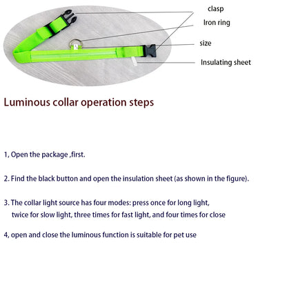 Illuminate Your Dog's Walks: Glow in the Dark Nylon LED Leash & Collar for Ultimate Night Safety