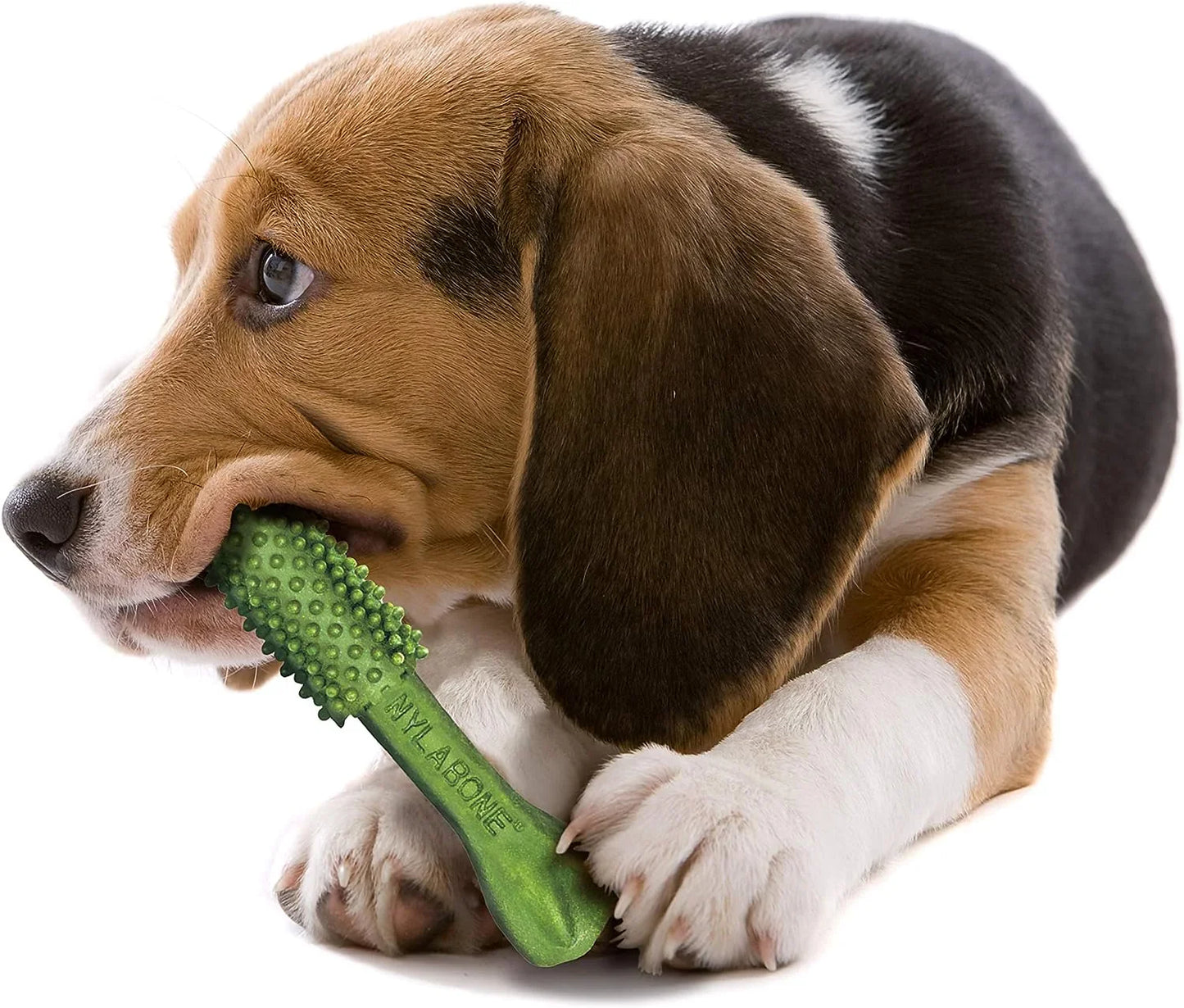 “Fresh‑Breath Nutri Nubs 🦷🌿 360° Dental Chews for Happy Dog Smiles”