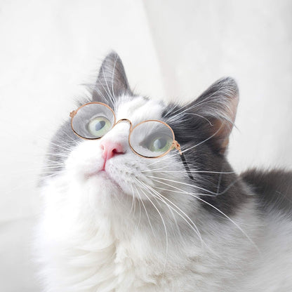 10 Pieces Cute Retro Round Sunglasses for Cats and Dogs – Fun Pet Glasses for Cosplay, Parties, and Photos (Mixed Colors)