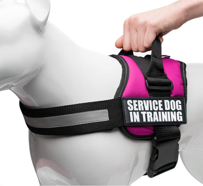 ❤️🐾 Service Dog in Training Vest Harness — Durable, Adjustable, Reflective (Small 19.5"–25")