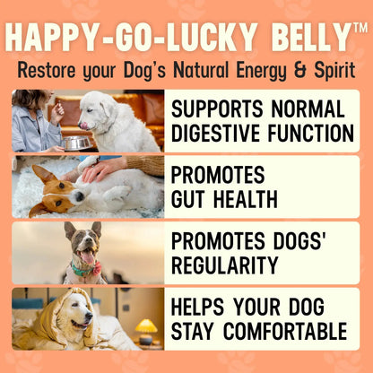 Happy-Go-Lucky Belly: Complete Digestive & Gut Wellness for Your Dog by Cesar Millan