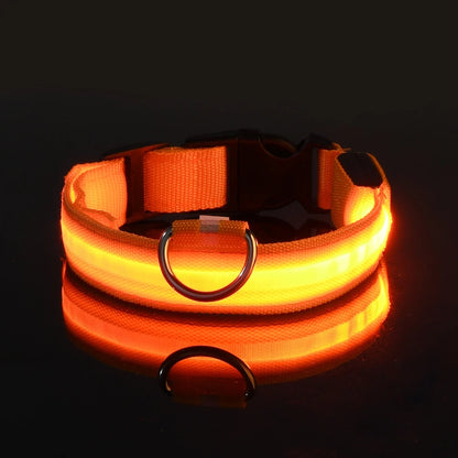 Illuminate Your Dog's Walks: Glow in the Dark Nylon LED Leash & Collar for Ultimate Night Safety