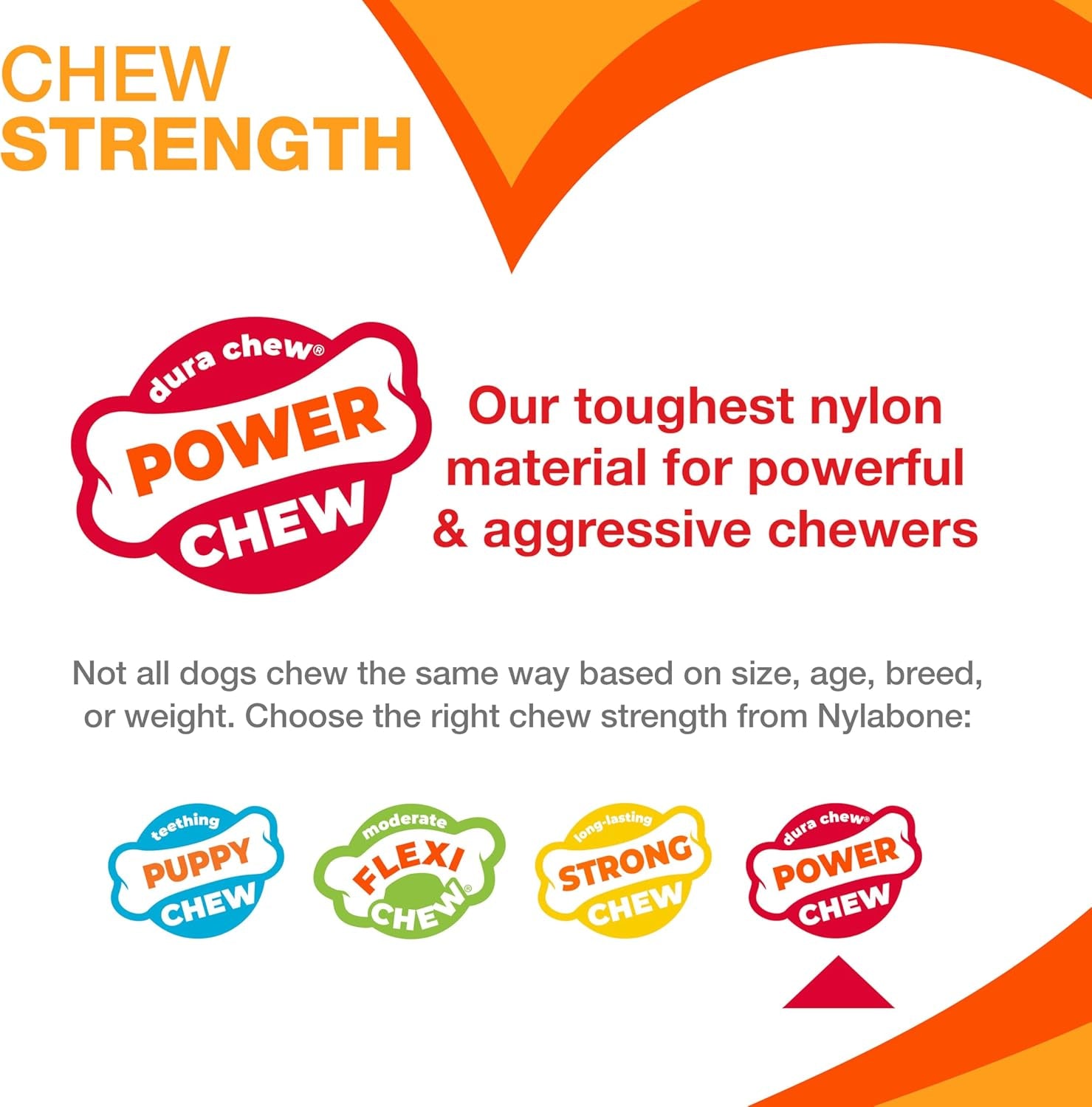 Nylabone Power Chew Bones 🦴🔥 Tough Nylon Twin Pack – Bacon & Chicken, Medium Dogs