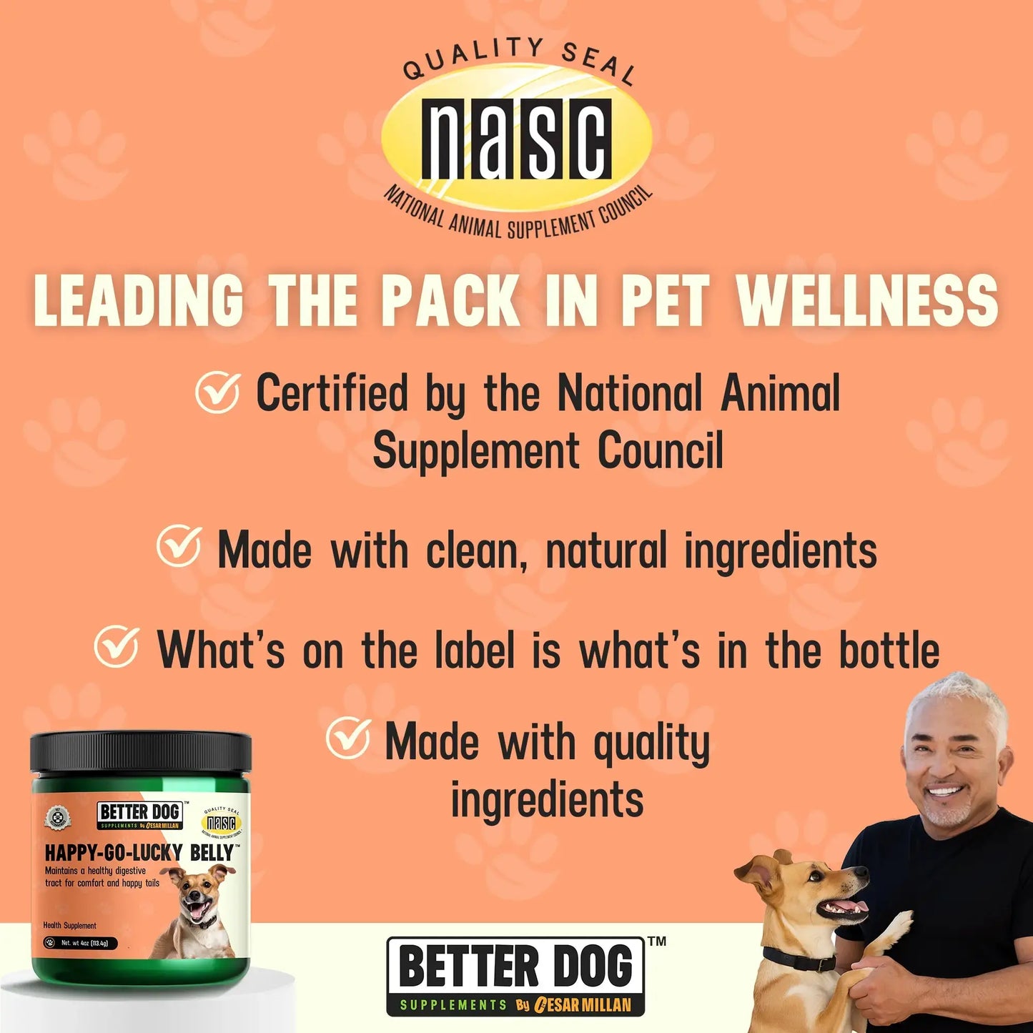 Happy-Go-Lucky Belly: Complete Digestive & Gut Wellness for Your Dog by Cesar Millan