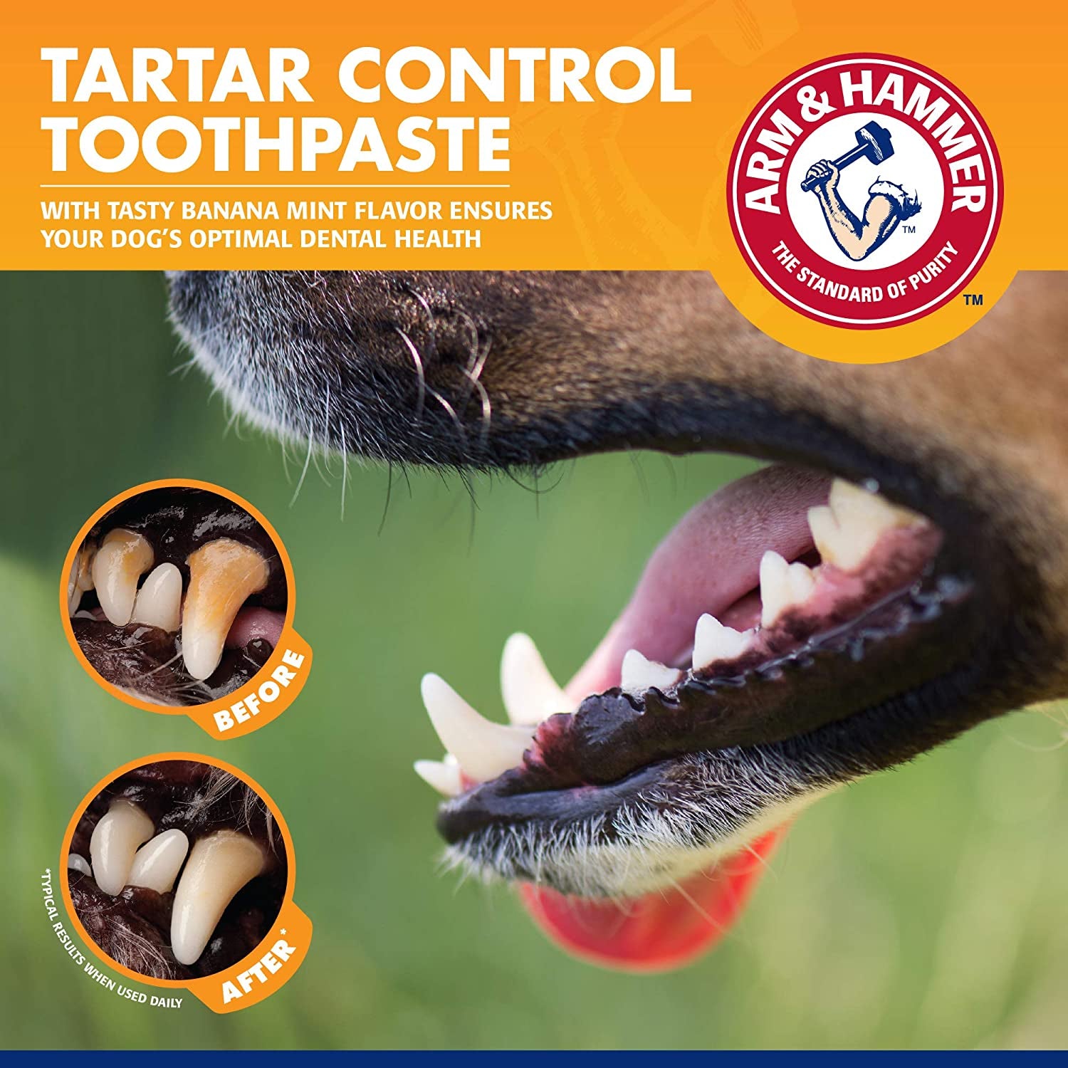 Tartar Control Dog Dental Care Kit - Banana Mint Toothpaste with Baking Soda, Double-Sided Toothbrush & Finger Brush - 3-Piece Set, 2.5 Oz